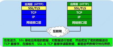 計算機網絡信息咨詢 定義、體系架構與實踐應用